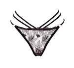 Stringi Sensuelle